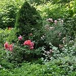 Üdülőpark Osrodek Edward