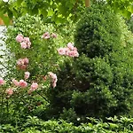 Üdülőpark Osrodek Edward Mikoszewo