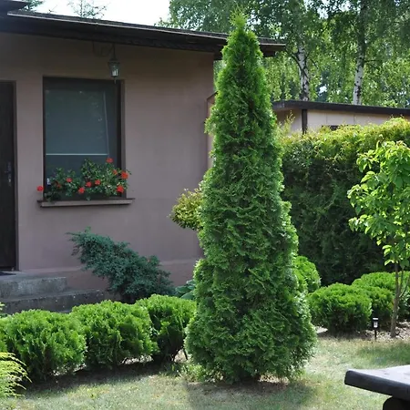 منتزه العطل Osrodek Edward *