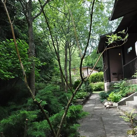 ホリデーパーク Osrodek Edward ミコシェボ