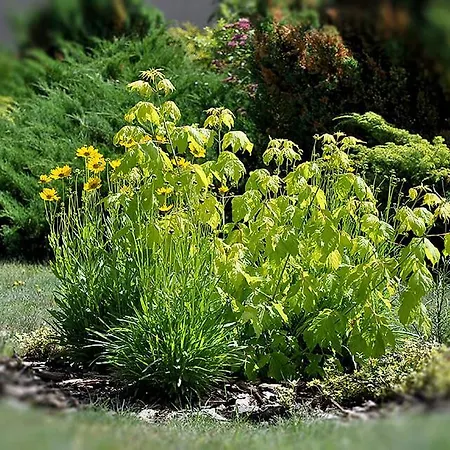 ホリデーパーク Osrodek Edward *