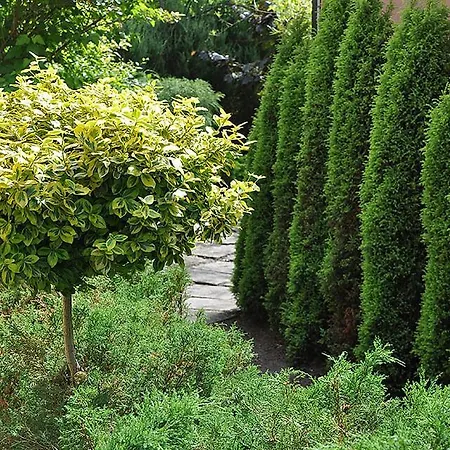 منتزه العطل Osrodek Edward ميكوشيفو