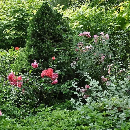 ホリデーパーク Osrodek Edward