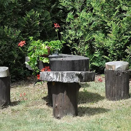 Osrodek Edward ミコシェボ