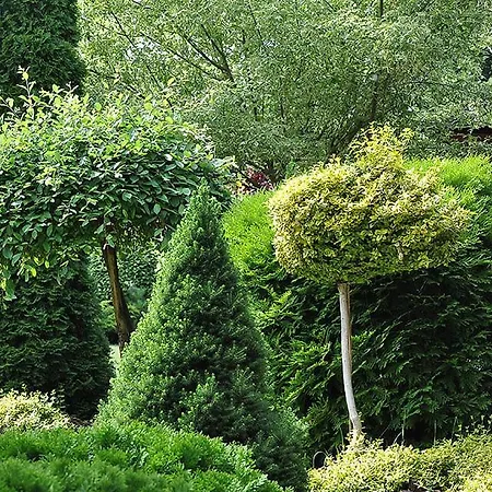 Osrodek Edward ホリデーパーク ミコシェボ