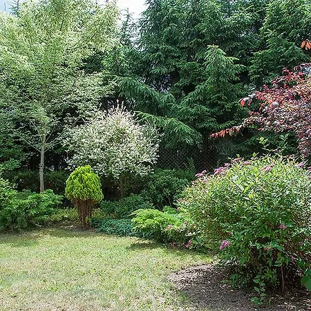 Osrodek Edward Holiday park