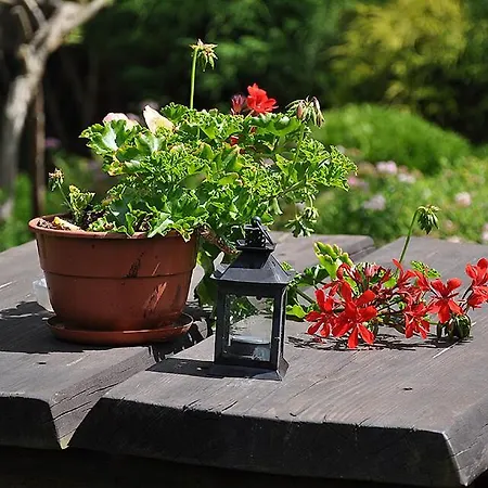 Osrodek Edward ホリデーパーク ミコシェボ