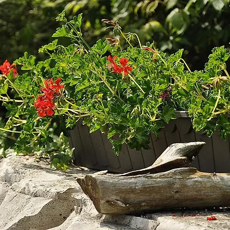 Osrodek Edward ホリデーパーク *