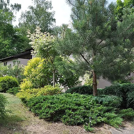 منتزه العطل Osrodek Edward