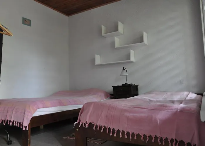 Ferienpark Osrodek Edward Mikoszewo