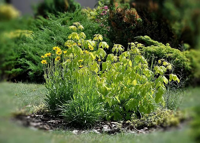 Ferienpark Osrodek Edward *