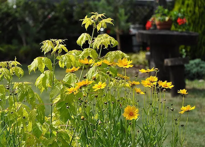 Osrodek Edward * Mikoszewo