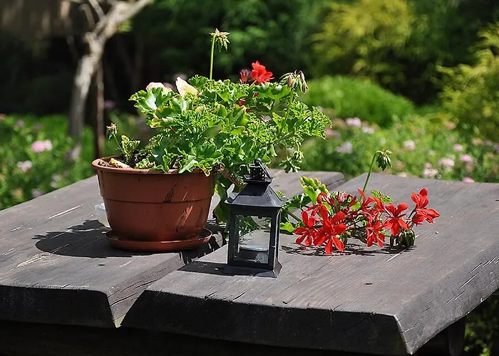 Osrodek Edward Ferienpark Mikoszewo