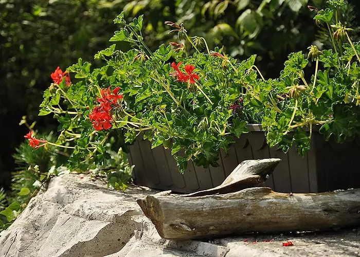 Osrodek Edward Ferienpark *