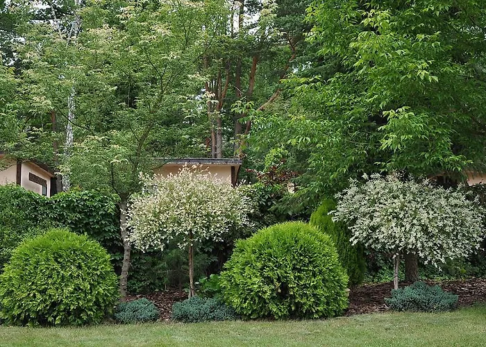 Ferienpark Osrodek Edward Mikoszewo